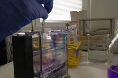 Na-labakoch-54-scaled