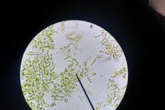 Na-labakoch-55-scaled