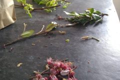 Na-labakoch-56-scaled