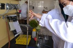 Na-labakoch-6-scaled