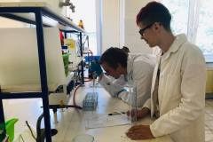 Vyucba-Stredne-skoly-6