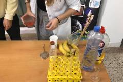 Workshopy-na-KBio-15