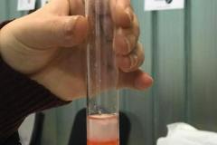 Workshopy-na-KBio-19