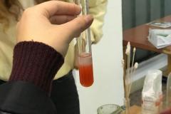 Workshopy-na-KBio-21